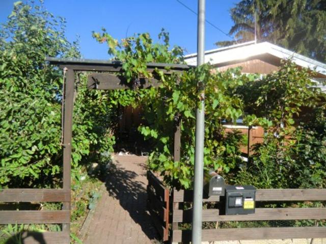 Haus kaufen in Nauheim, Hessen