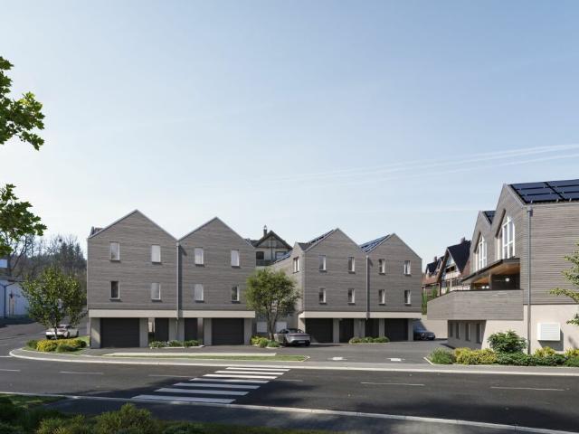 Einfamilienhaus kaufen in Amlikon-Bissegg, Thurgau