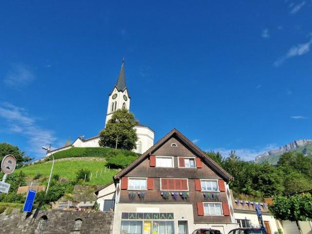 Einfamilienhaus kaufen in Gams, St. Gallen