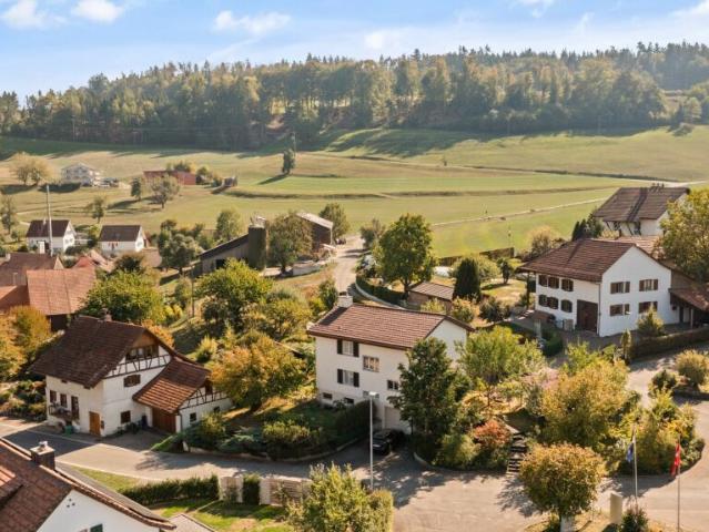 Einfamilienhaus kaufen in Böbikon, Zurzach