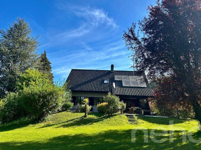Haus kaufen in Trey, Waadt