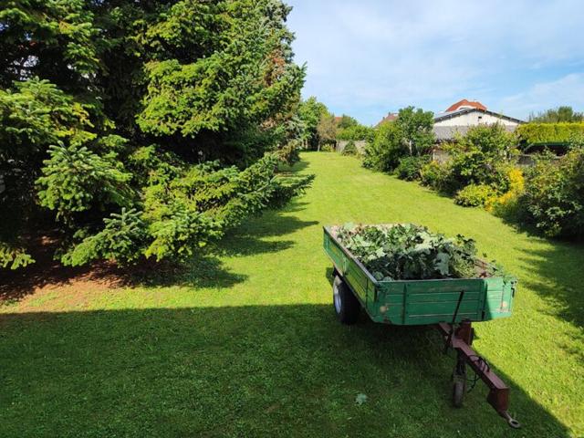 Haus kaufen in Siegendorf, Burgenland