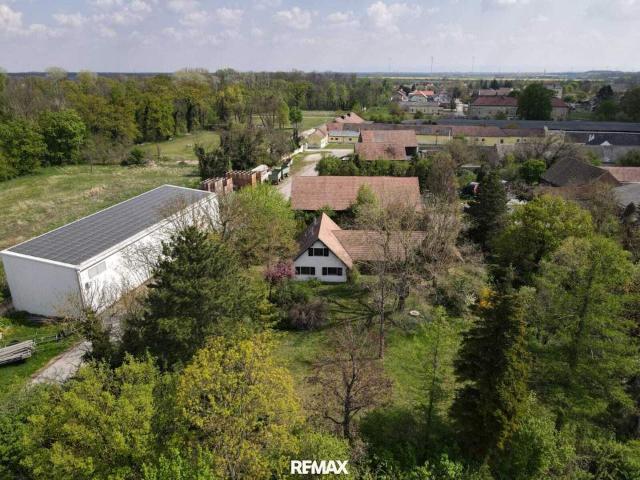 Haus kaufen in Gänserndorf, Niederösterreich