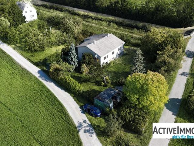 Einfamilienhaus kaufen in Sollenau, Niederösterreich