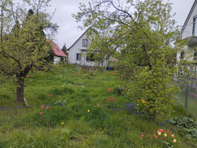 Haus kaufen in Golßen, Brandenburg