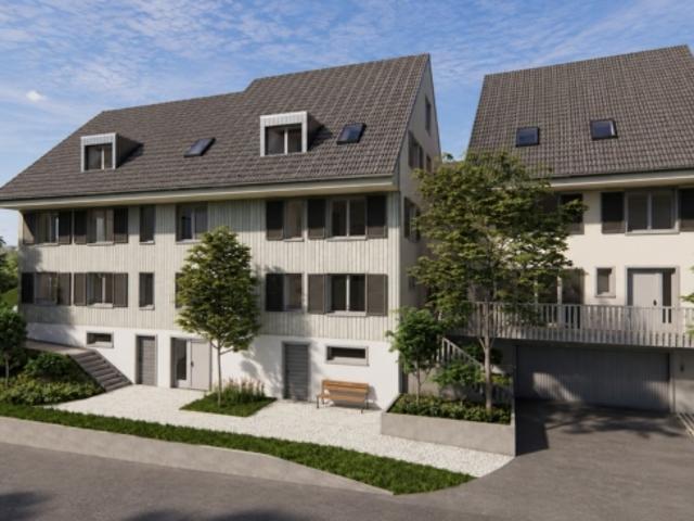 Einfamilienhaus kaufen in Villigen, Aargau