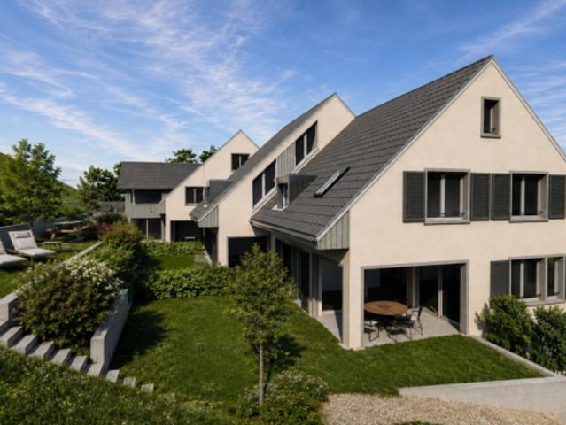 Einfamilienhaus kaufen in Villigen, Aargau