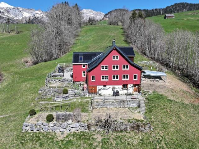Einfamilienhaus kaufen in Wildhaus-Alt St. Johann, St. Gallen