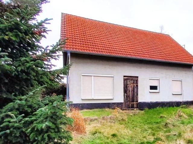 Haus kaufen in Trebsen, Sachsen