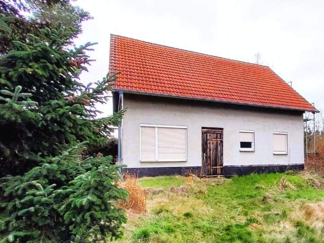 Haus kaufen in Trebsen, Sachsen