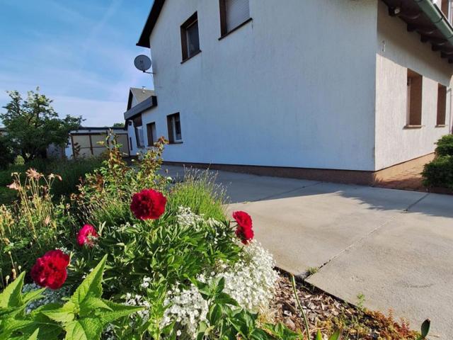 Doppelhaushälfte kaufen in Bleesern, Wittenberg