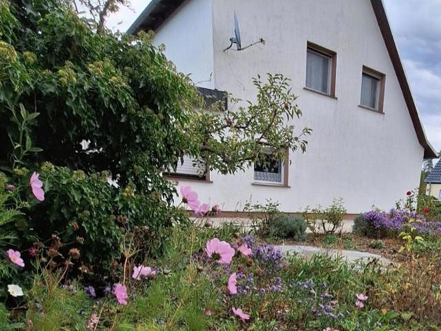 Doppelhaushälfte kaufen in Bleesern, Wittenberg