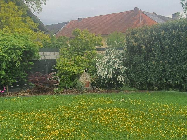 Haus kaufen in Oftering