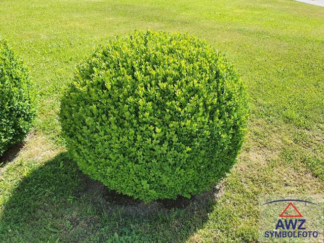 Haus kaufen in Edling, Spittal an der Drau