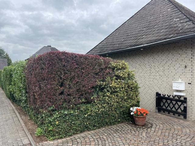 Haus kaufen in Hackenbroich, Dormagen
