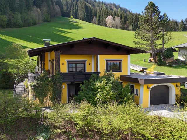 Haus kaufen in Hopfgarten i.Br., Tirol