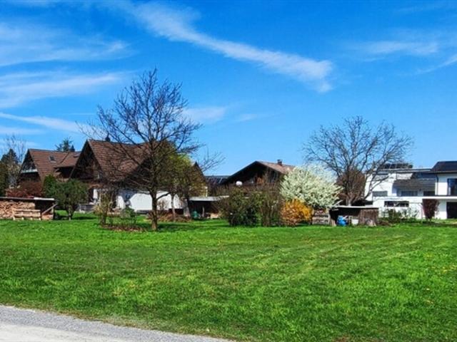 Einfamilienhaus kaufen in Lustenau, Vorarlberg