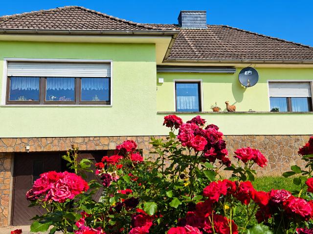 Haus kaufen in Martinsrieth, Sachsen-Anhalt