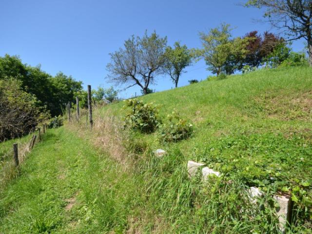 Villa kaufen in Neuhaus am Klausenbach, Steinleiten