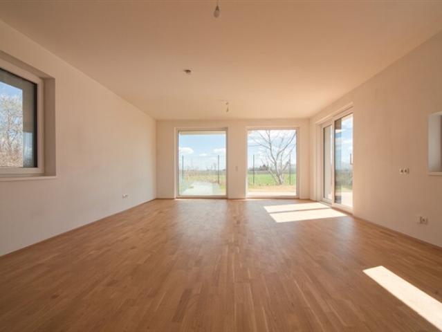 Einfamilienhaus kaufen in Donaustadt, Wien