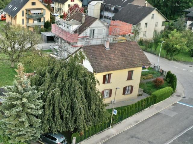 Einfamilienhaus kaufen in Wangen an der Aare, Bern