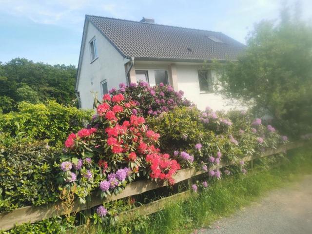 Haus kaufen in Kölner Straße, Wermelskirchen
