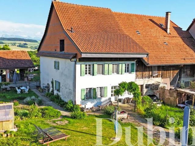 Haus kaufen in Chesalles-Moudon, Waadt