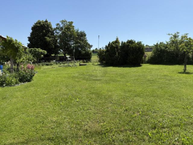 Villa kaufen in Pichl bei Wels, Winkelfeld