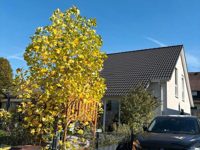 Haus kaufen in Stadtmitte, Datteln