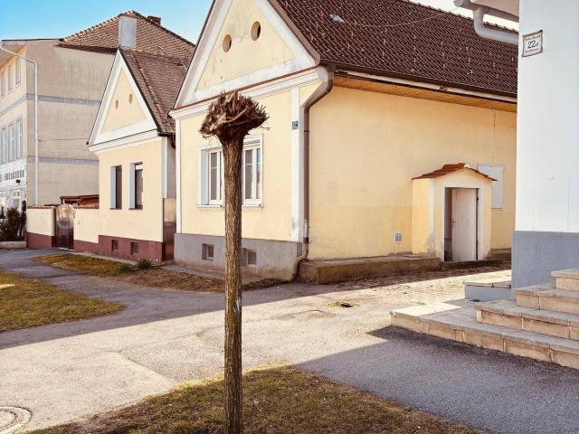 Haus kaufen in Steinberg-Dörfl, Burgenland
