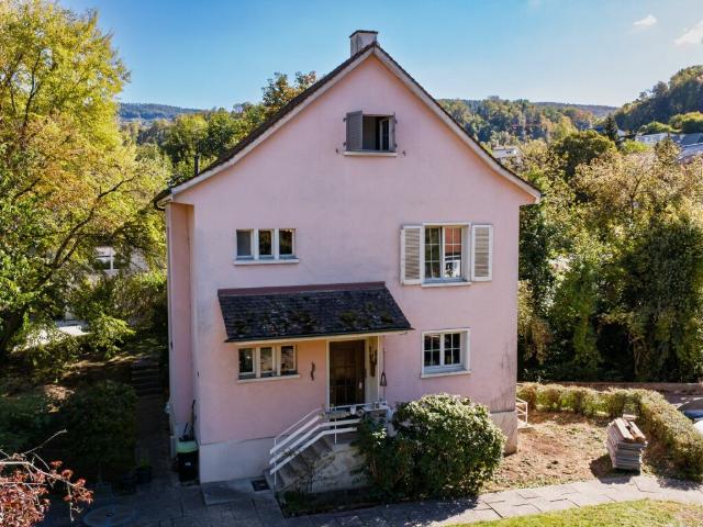Einfamilienhaus kaufen in Flüh, Hofstetten-Flüh
