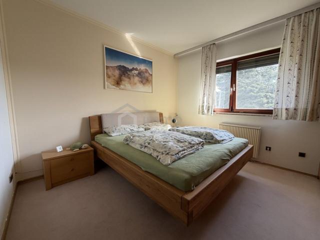 Haus kaufen in Bad Leonfelden, Oberösterreich