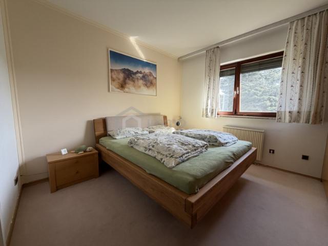 Einfamilienhaus kaufen in Bad Leonfelden, Oberösterreich