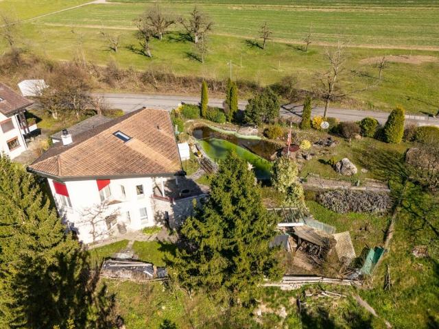 Einfamilienhaus kaufen in Rudolfstetten, Aargau