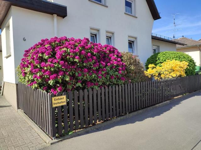 Haus kaufen in Braunfels, Hessen