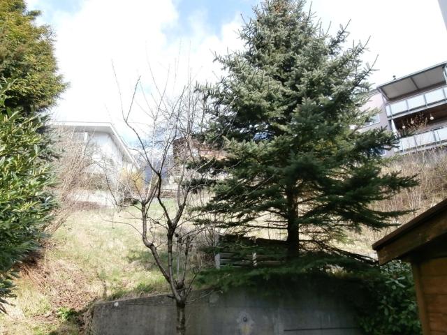 Haus kaufen in Thaur