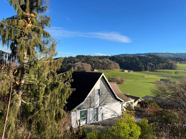 Doppelhaushälfte kaufen in Fribourg