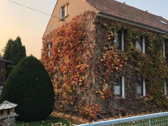 Haus kaufen in Dresden