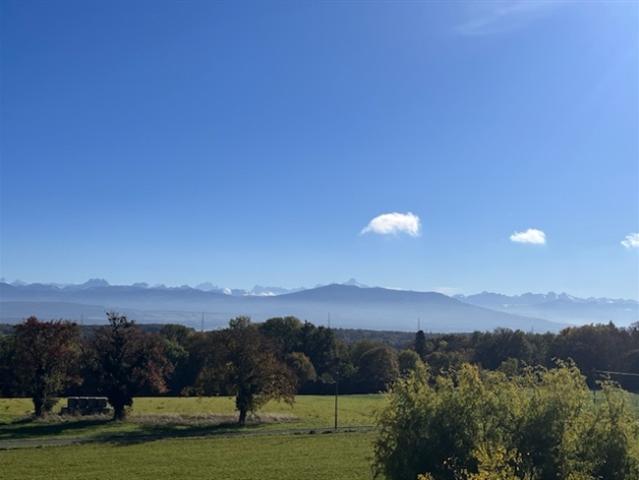 Einfamilienhaus kaufen in La Rippe, Waadt