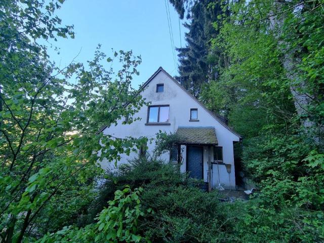 Haus kaufen in Schönau, Baden-Württemberg