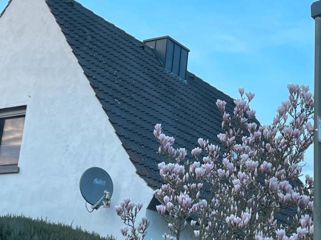 Haus kaufen in Gellendorf, Rheine