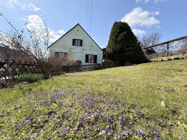 Haus kaufen in Höflach, Fehring