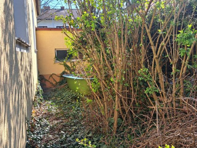 Einfamilienhaus kaufen in Schwechat, Niederösterreich
