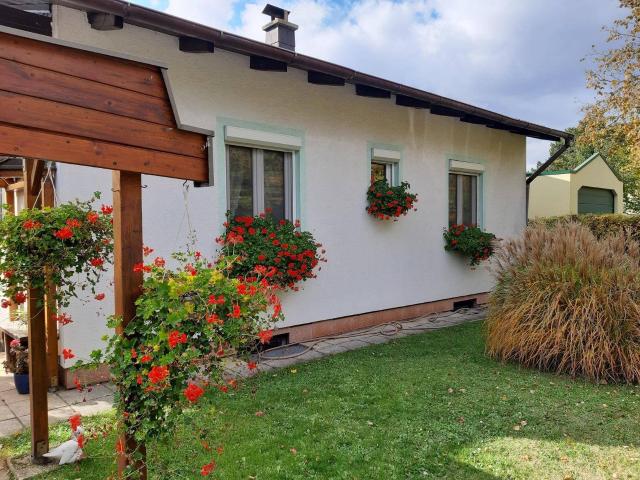 Haus kaufen in St. Andrä am Zicksee