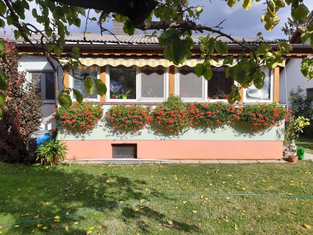 Haus kaufen in St. Andrä am Zicksee