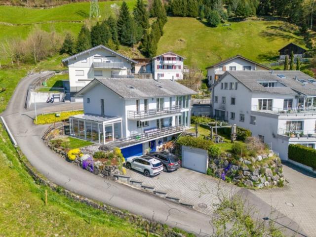 Einfamilienhaus kaufen in Flüelen, Uri