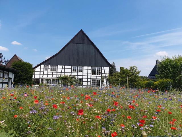Haus kaufen in Deininghausen, Castrop-Rauxel