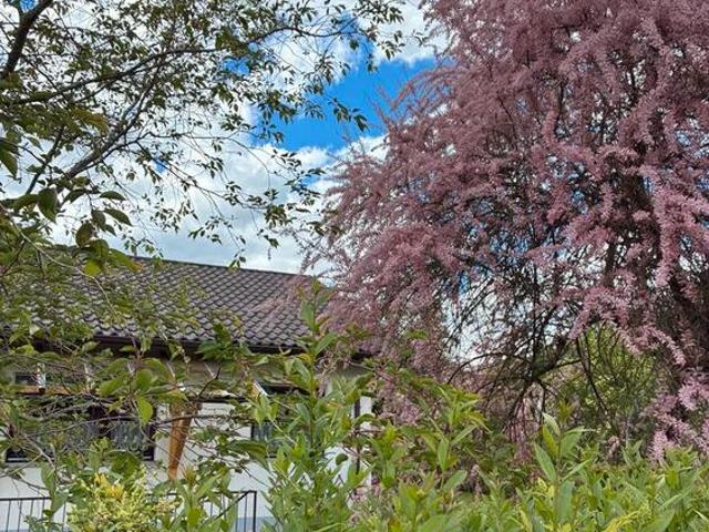 Haus kaufen in Riedlingen, Baden-Württemberg