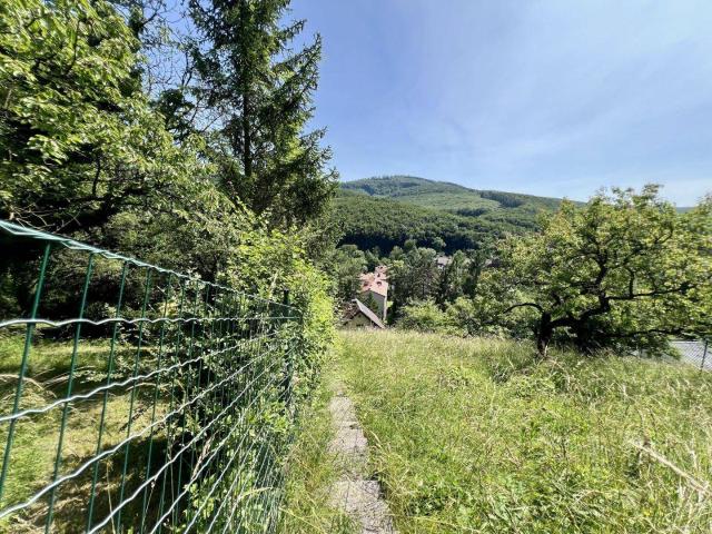 Haus kaufen in Weidling, Klosterneuburg