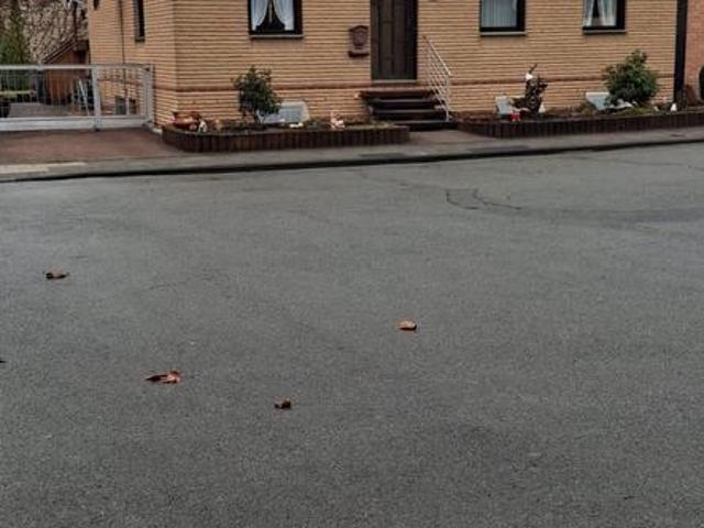 Haus kaufen in Bad Lippspringe, Nordrhein-Westfalen